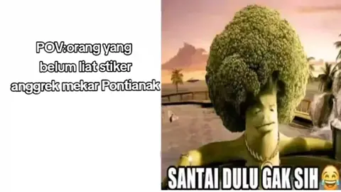 santai bro#4upage#foryoupage#santaidulu#stikeranggrekmekarpontianak#xybca