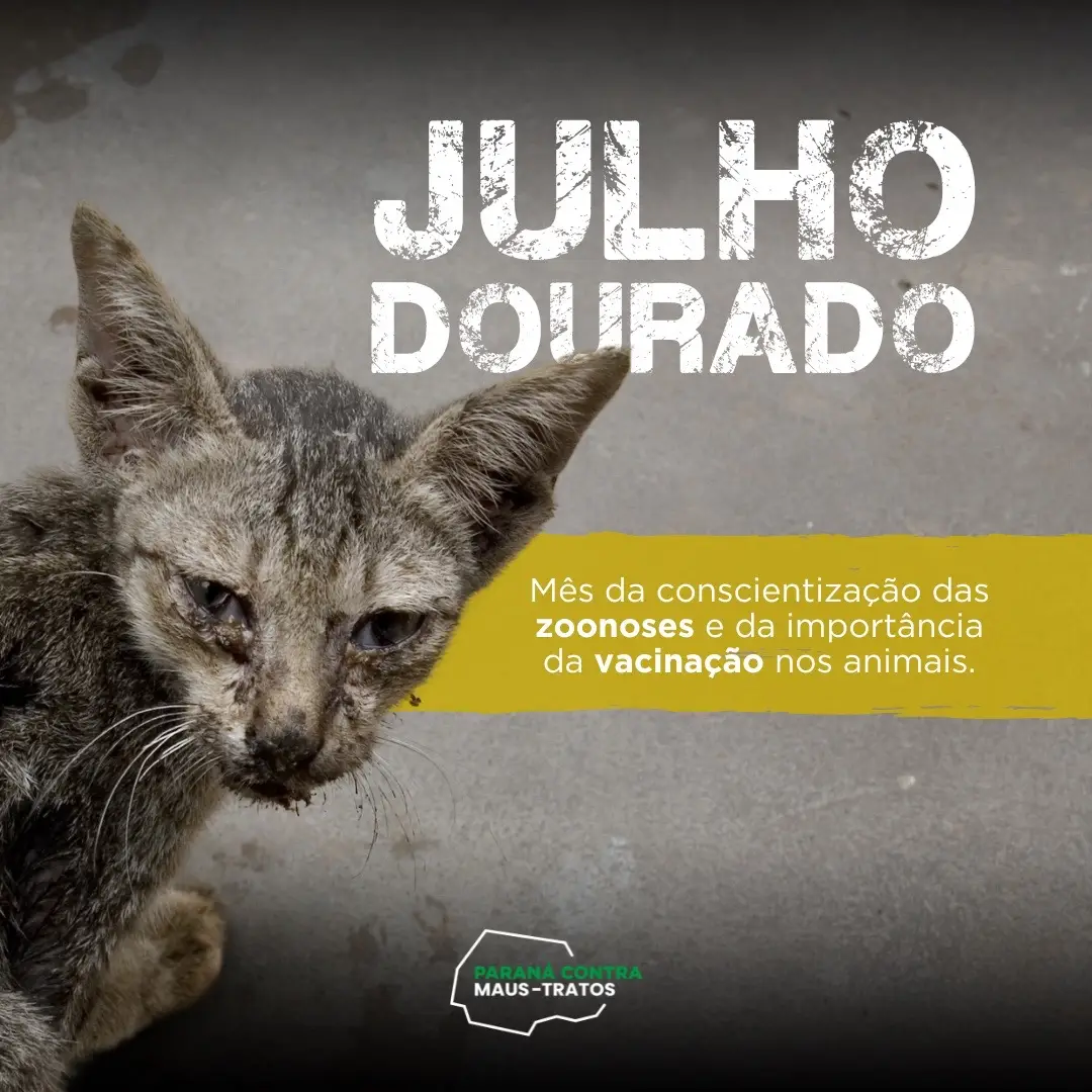 Mês de conscientização! No mundo animal, julho é o mês dedicado à prevenção de zoonoses e incentivo à vacinação. Esse tema é muito importante, pois além de comprometer a saúde dos nossos pets, as zoonoses também apresentam riscos aos seres humanos.  A vacinação é essencial para que possamos garantir que nossos pets fiquem protegidos contra graves doenças, como por exemplo a parvovirose, a raiva e a cinomose. Vamos juntos conscientizar sobre os cuidados que devemos ter com os nossos pets?