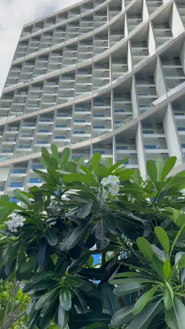 #muongthanhluxuryhalongcentre2 