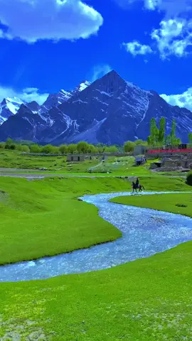 Thorsaymeadows📍You can join us on our every week trips to different destinations in Pakistan. 3 days trip to Swat kalam & Malamjaba 3 Days trip to Neelum valley Kashmir 5 days trip to Hunza - China boarder & Nalter valley 5 Days trip to Fairy Meadows & Nanga parbat base camp 7 dsys trip to skardu - Basho vally & Deosai 8 Days trip to Hunza - China boarder - Skardu and Basho valley For details contact on whatsapp Number mentioned in profile.#gbexplore♥ #thorsay_valley_pakistan #foryoupageofficiall #withhydar #trainding_zigzaig #tourismpakistan #viraltiktok 