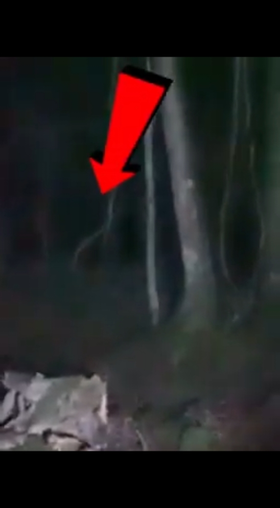 Man Has Terrifying Paranormal Encounter In The Woods #scary #creepy #horror #shadowfigure #ghost #paranormal