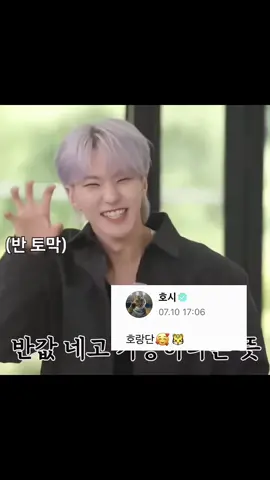 finally jeonghan confirm that he's an ardent of being horangdan🐯😇 #kwonsoonyoung #hoshi #yoonjeonghan #jeonghan #jeonghanseventeen #seventeen #horangdan #horanghae 