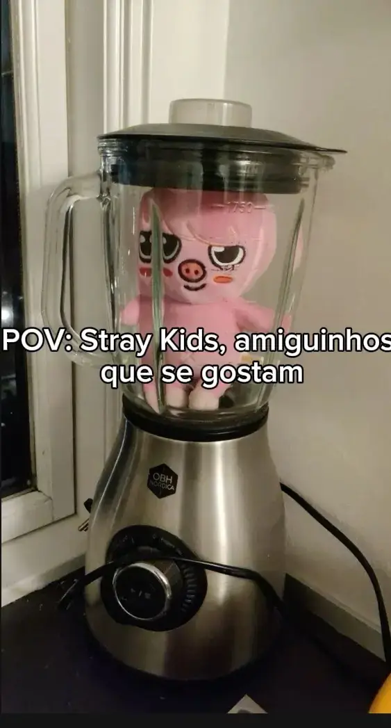 #fy #fyp #fypシ #straykids #stay #naoflopaporfavor #naoflopa desculpem por não postar esses dias, estive muito ocupada