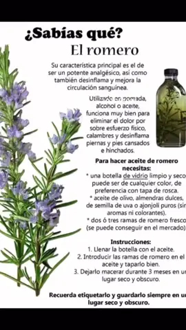 #Recuerdos #romero #natural #naturaleza #aceite #aceitederomero #fyp #parati 