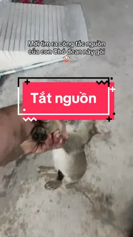 Điểm huyệt con mèo 😌