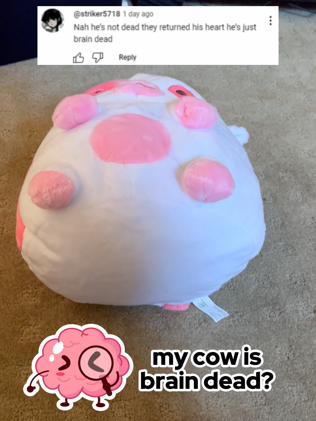 My  cow is BRAIN DEAD? ☠️ #plushies #cows #stuffedanimals #giftsforher #plushtoys #plush #cutie #kawaii #shopzoki