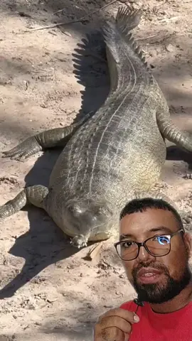 #dúo con @ahfoo Un ñoñodrilo. 😱😳 #粉丝一千万 #reaccionando #reaccion #reacciones #viraltiktok #viralvideo #viral #foryoupage #foryou #fypシ #fyp #reaction #parati 