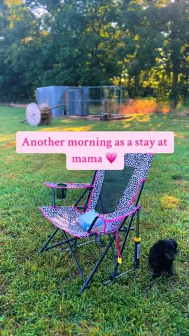 Lol i wish we could edit a post after it was made 😂 stay at home mama ***^ Yall know this drinks gotta be good if it replaced my coffee😍 soooo yummy! @Vitauthority #vitauthority #vitauthoritycollagen #wednesday #sahm #sahmlife #farm #morningvlog #Outdoors #sahmtok #arkansas 