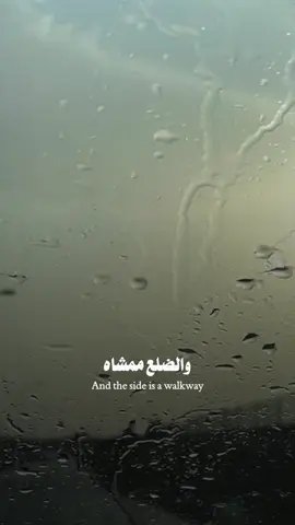 حبك ما بين القلب والضلع ممشاه..🌦️🤍✨ #وليد_الشامي 