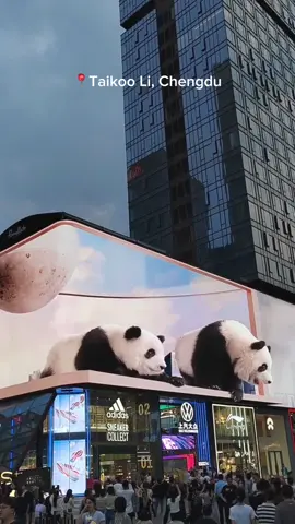 Autostereoscopy screen in Taikoo Li, Chengdu. 🐼 #fyp #foryou #foryoupage #travel #trip #china #chinatravel #chinatiktok #成都 #chengdu #sichuan #panda #3d #3D 