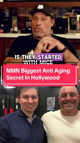 Curious about the secret to ageless energy and vitality? 🌟 Discover NMN, the supplement that's taking the health world by storm! Backed by science, NMN boosts your NAD+ levels, promoting youthful skin, enhanced energy, and improved cognitive function. Want to know why celebrities and biohackers swear by it? Watch the video and click the link to learn more! 💪✨  #AntiAging #NMN #NAD #supplements #fyp #Longevity #Wellness #energyboost #health #CapCut 