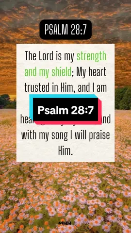 The LORD is my strength and my shield.... Psalm 28:7 #psalm28v7 #psalm28 #christian #bible #bibleverses #verseoftheday #scriptureoftheday #bibleversedaily #christian 