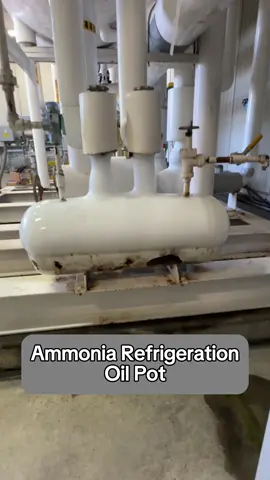Ammonia refrigeration oil pot #maintenance #ammonia #refrigeration 