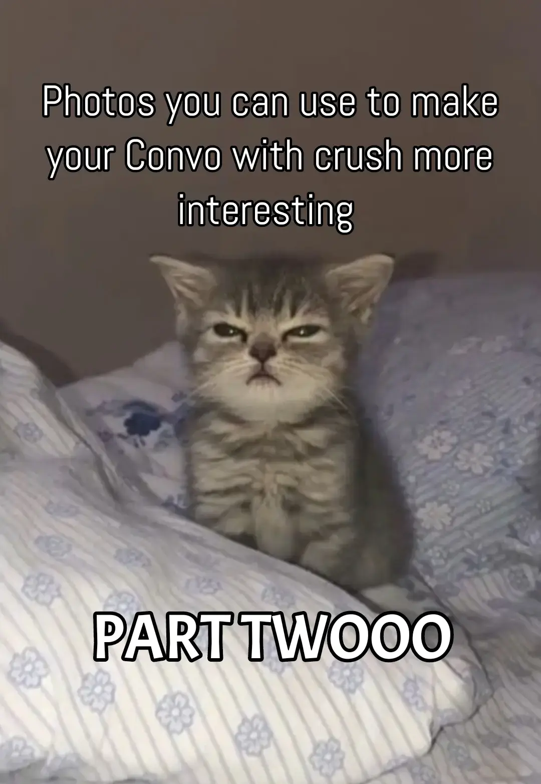 you can comment down yung gusto niyong ilagay ko sa next :) #convowithcrush #fyp #funnycat #crush #inentertainmopaakomayibakanamanpalanggusto #fyppppppppppppppppppppppp 