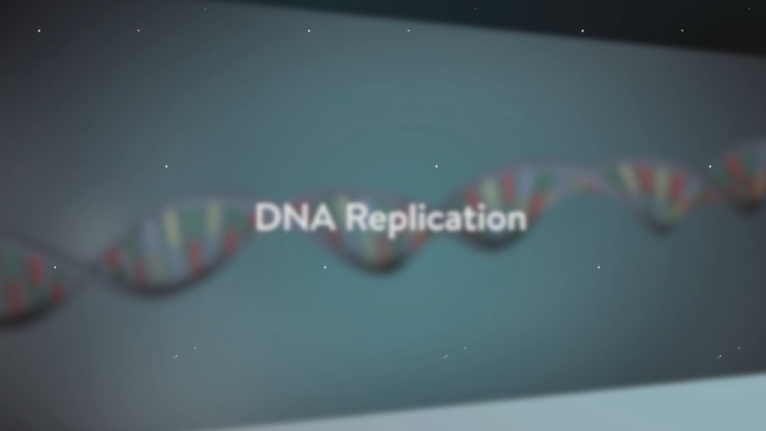 Vẻ đẹp Sinh Học|DNA Replication  #khoaedit51 #xuhuong #viral #sinhhoc 