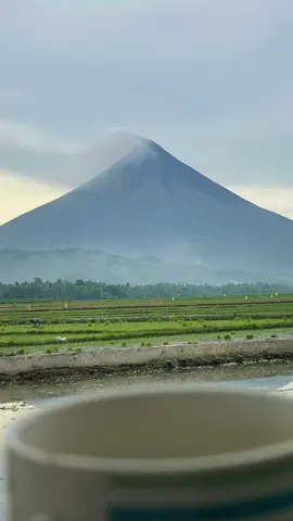 No words can express how perfectly beautiful you are Mayon!🤯
