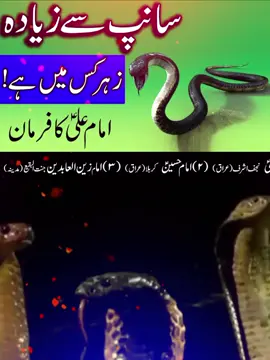 Snake Se Ziyada Zehar Ks Main Hai Must watch _ Hazrat Ali as Qol _ Mehrban Ali _ Saamp Munafiq Dost #dontunderreviewmy #viral #standwithkashmir #mehrbanali 