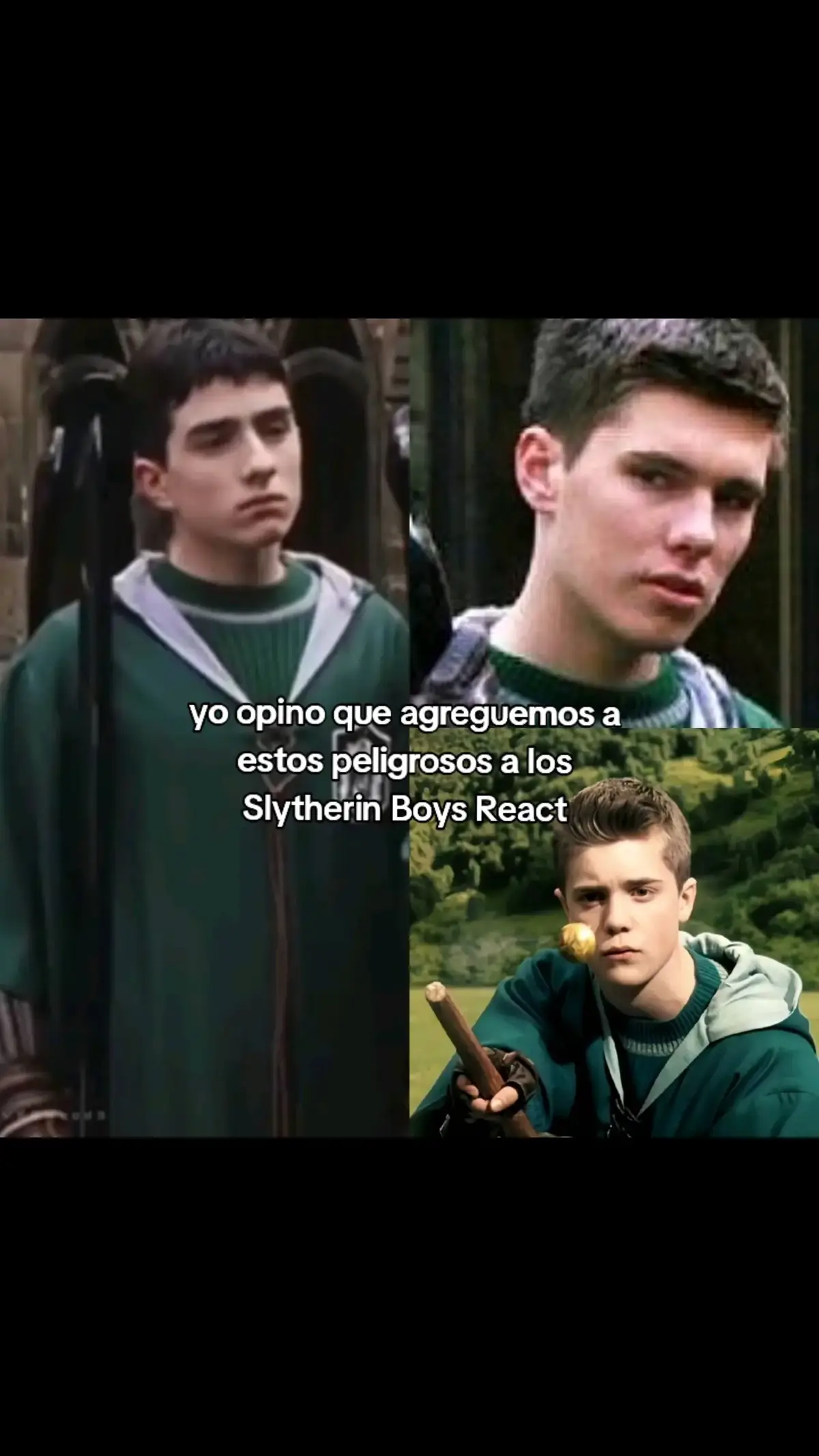 siono #fyp #chile #slytherinboys #parati #ponmeenparati #foryou #viral #harrypotter #fypシ #nosequeponer #flop #fypage 