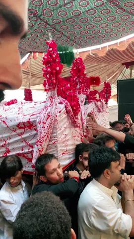 #sabeelehussain14 #mattam #azadari #muharamulharam #4muharam_ul_haram🖤 
