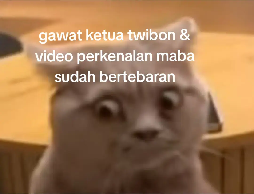 abang bem udahlah pewiss,jgn pake video² perkenalan #bem #pkkmb #maba #univ #teknik #meme #pov #kampus 