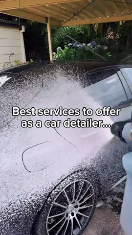 Best services to offer as a car detailer. #trending #business #autodetailing #cardetailing 