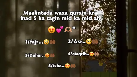 wx wlpa dhco slada haka tagin.🥺😭#foryou #sheikhsuleiman 