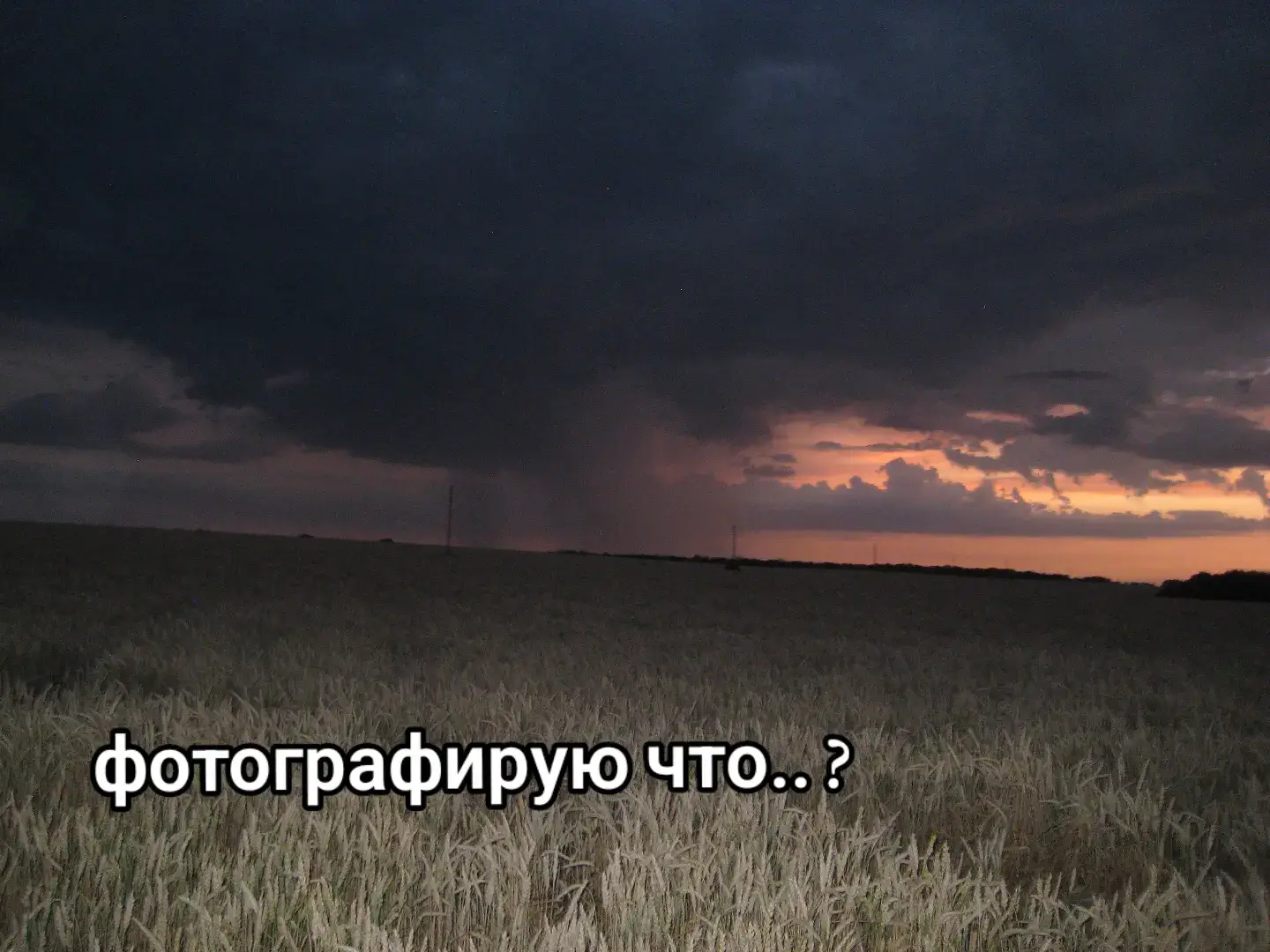 фотографирую закат.. #рекомендации #эстетика #закат #рекк #поле 