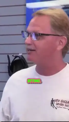 shark shield dive#pawn #pawnstars #pawnshop