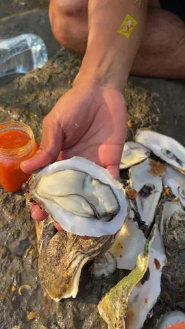 Oyster So Delicious Wow So Fresh #oyster #seafood #usa #food