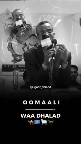 Soomaali Waa Dhalad 🇸🇴🐪🐎💙#somalitiktok #ugaaz_ahmed #💙 