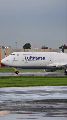 Lufthansa 498 heavy landing after strong rain. Listen to the very active ATC.  FRA-MEX 🇩🇪-🇲🇽🍺🌭🌮 @lufthansa#lufthansa  #frankfurt  #germany🇩🇪_tik_tok #frankfurt🇩🇪  #germany  #germany🇩🇪  #alemania🇩🇪  #alemania #mexicocity  #mexicotravel  #takeoff  #landing  #🧑‍✈️  #✈️ #aviation  #aviationlife  #aviationlovers  #pilot  #planespotting #airplanes  #loveaviation  #world  #spotting  #🛬  #✈️🛫👮‍♀️ #✈️✈️✈️✈️✈️✈️💖💖💖💖  #📸  #avgeek  #avgeeks #vacationmode  #hobby  #photo #photography #videography  #world  #🌎 #mexico  #🇲🇽  #trip  #travel  #viaje  #viajes  #4k  #fly  #closeup #flymetothemoon  #vuelo  #😎  #😍😍😍  #beautiful  #amor #amor❤️ #✈️  #🛫  #fypシ゚viral  #canon  #girlpower  #canoncamera #canonr6  #boeing  #boeing747  #lacasadelaaviacion#rain #lluvia #lluviasfuertes #heavyrain #fyp  #foryou  #foryoupage #fyppppppppppppppppppppppppppppppppppp  #fypシ゚viral🖤tiktok  #fypp #aircraft