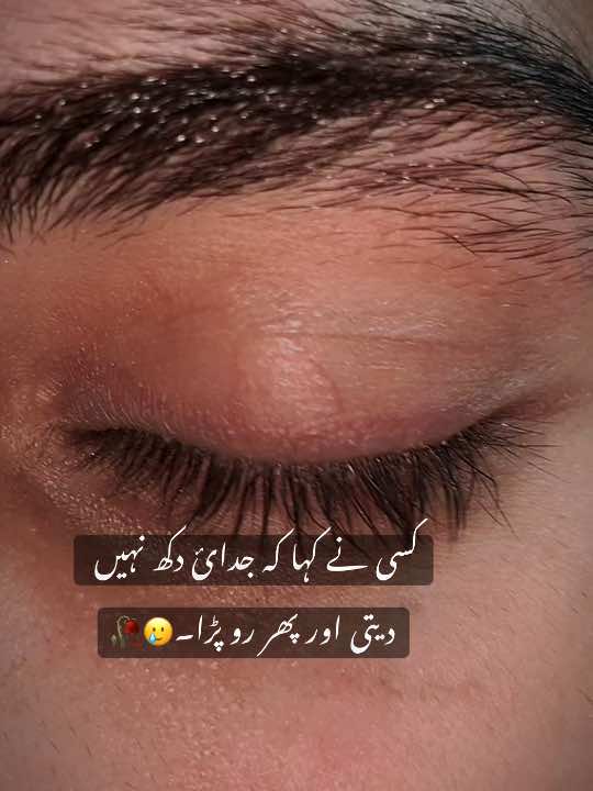 🥲🥀کسی نے کہا کہ جدائ دکھ نہیں  دیتی اور پھر رو پڑا۔🥲🥀