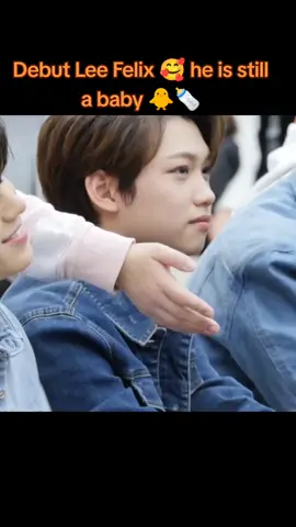 #felix #visual #cute #louisvuitton #foryou #fyp #straykids 