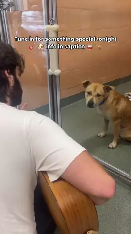 Set your alarms! 🚨 Something exciting is happening at the shelter tonight (7/11) 🐶 ❤️  Music therapy can be very helpful for animals in stressful situations 🎸It can calm them down and make them feel safe. We will be streaming live on all our platforms around 7 PM with a special serenade for the animals with @The Boas  Tune in on Instagram, Facebook, Youtube, or Tiktok for a sweet show ❤️🙏 To meet any of our wonderful pets, visit www.humanebroward.com and complete the pre-adoption application.  The adoption kennels open daily at 11 a.m.and the Humane Society of Broward County is located at 2070 Griffin Road, Fort Lauderdale, FL 33312.  If you have any questions, call 954-989-3977 ext. 6.   #rescuedog #shelterdog #adoptme #adoptdontshop #goodboy #dog #florida #dogreels #reels #instapet #dogs #dogoftheday #dogsofinstagram #dogshelter #animalshelter #instadog #livemusic #shelterconcert 