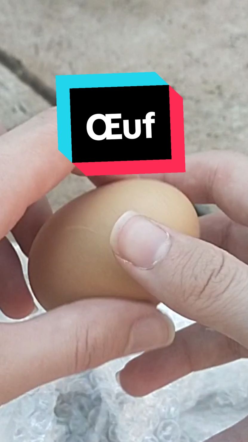 Protéger son œuf 