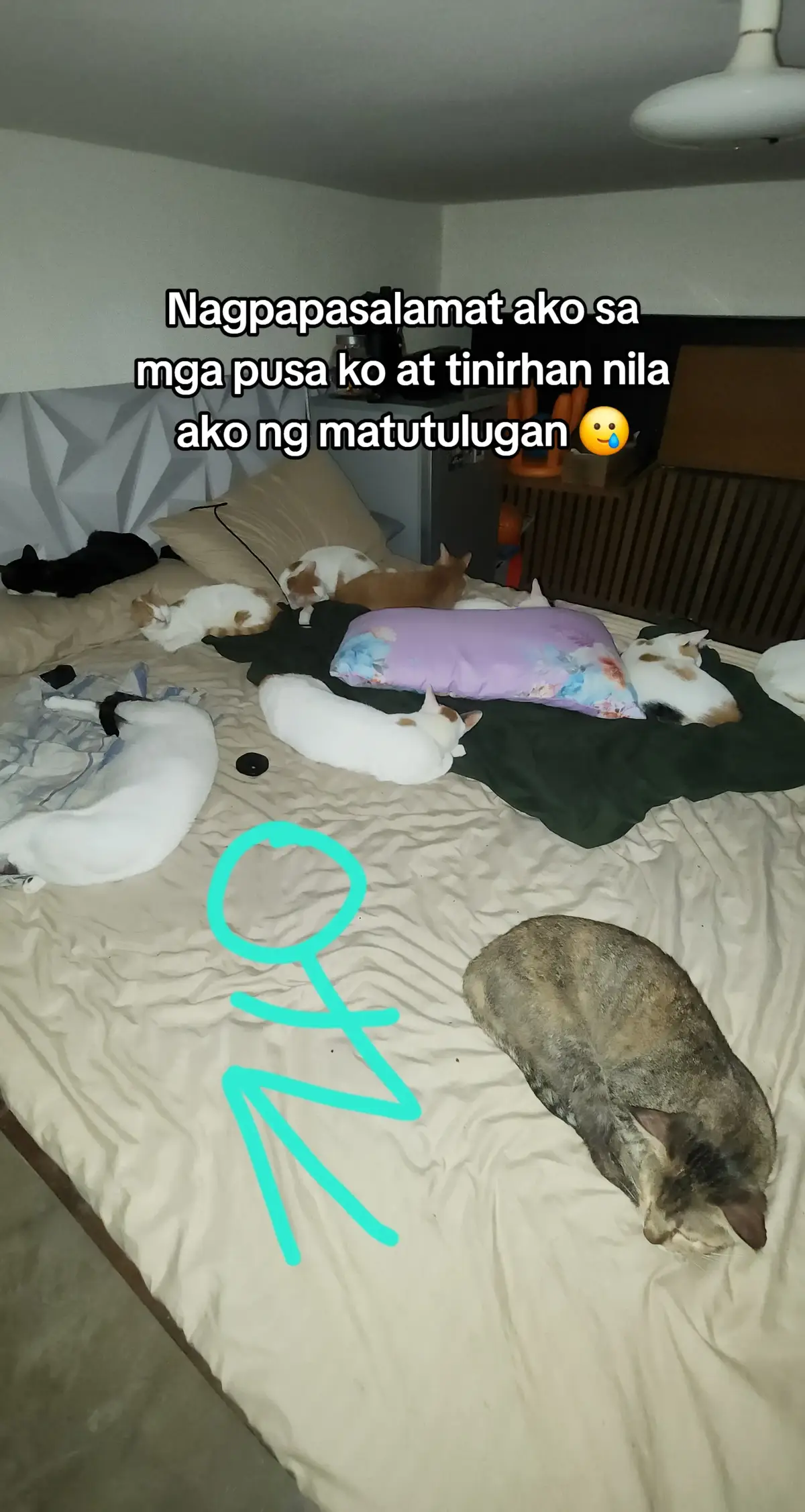 Nakakahiya namang manggising parang may mga binubuhay na pamilya yung pagod eh #fyp #cats #catsoftiktok 