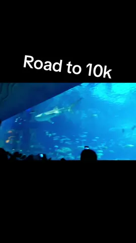 #fyp #foryou #roadto10k #teamwork 