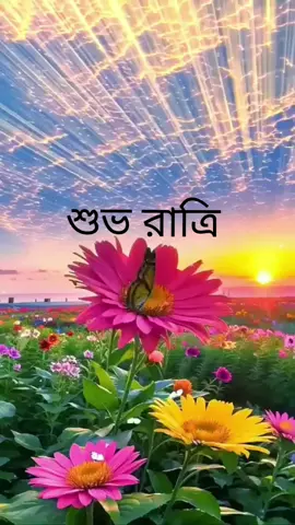 ও সাথি রে সব কিছু ভুলে #সাপোট_করবেন_ইনশাআল্লাহ_সাপোর্ট_পাবেন #আশা_করি_এই_ভিডিওটি_ভাইরাল_হবে @❤️সেহেজাদি❤️ @♥️★দুষ্টু বরের মিষ্টি বউ★♥️