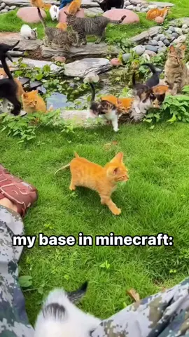 #cute #fyp #foryourpage #foryou #dog #cat #fypシ #funny #viral #adorable #funny #trending #tiktok #cutebaby #Minecraft #base #catsoftiktok #tiktok #viral 