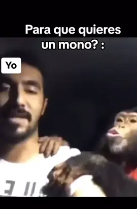 😂🤣 #parati #mono #hombre #viral #hombregritandocomoloco 