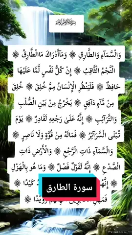 سورة الطارق#القران_الكريم #راحة_نفسية #ألابذكر_الله_تطمئن_القلوب #محمدالفقيه #ايات_قرآنية 