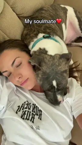 #pitty#dog#Love#soulmate#puppy 
