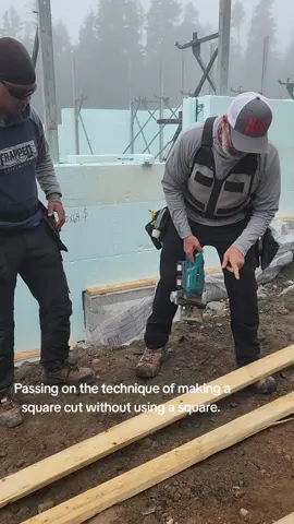 Passing on the technique of making a square cut without using a square.  #apprenticeshipisanobligation  #carpenter #carpentersareadyingbreed #skill #saw #lovewhatyoudo 