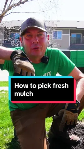 How to Pick Mulch? #mulch #lawn #lawncare #landscaping #gardening 
