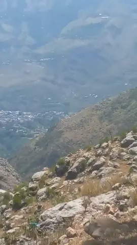 #viralvideo 