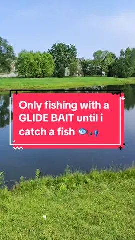 Fishing with this lure until i catch a fish 🎣🎣 #fishing #bassfishing #fishingvideos #capcut 
