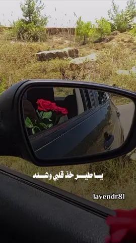 #يا_طير_خذ_قلبي_وشله #راشد_الماجد #يا_طير #حب #عشق #عباراتكم_الفخمه📿📌 #viral #تصويري #lavendr81 #اكسبلور #اكسبلورر #تصميمي #تصميم_فيديوهات🎶🎤🎬 #قوالب_كاب_كات_جاهزه_للتصميم #منشن_للي_تحبه #CapCut 