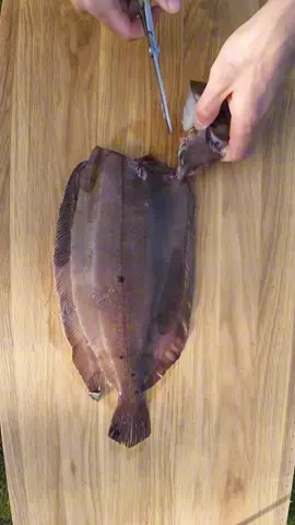 Straight in the pan #filletingfish #spearfishing 