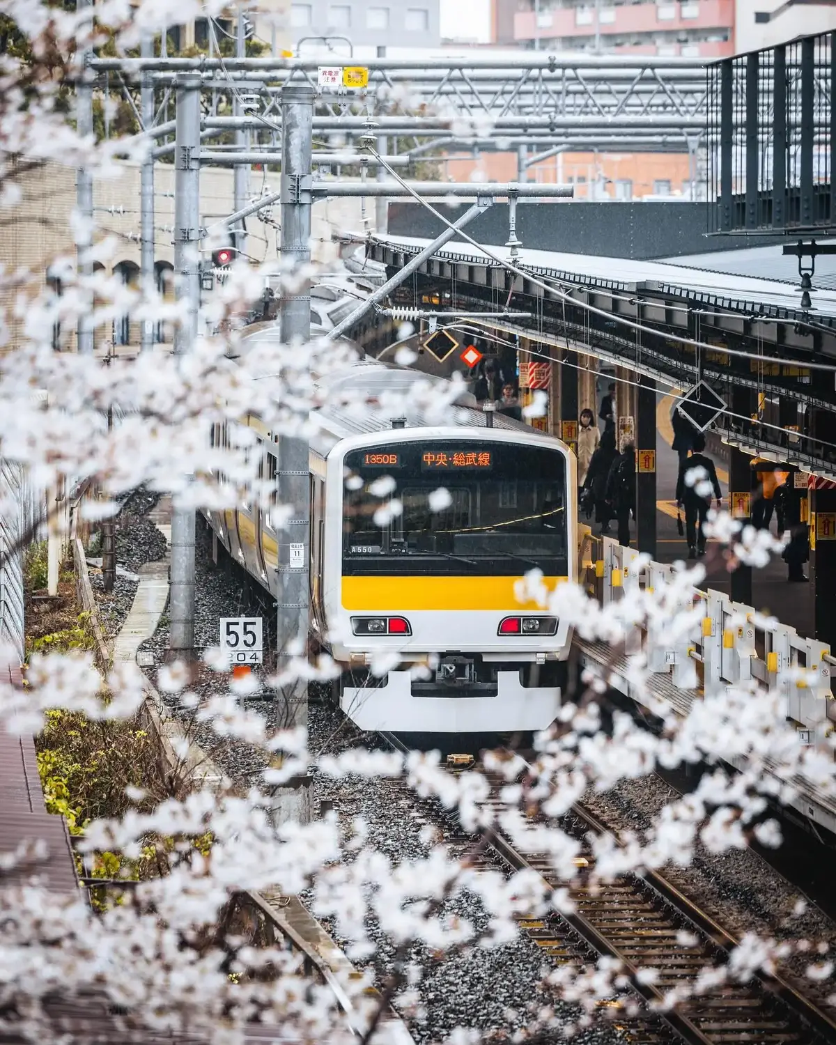 Tuトレインズ東京の電車 #日本 #日本語 #japan #japanes  #japantrip  #japantiktok #japantravel #日本語勉強中 #東京 #東京リベンジャーズ #tokyo #tiktok #asian #japanesefood #japaneseculture #japanlife #japanfood #trending #trend #travel #trendingvideo #trendingtiktok #traveltiktok 