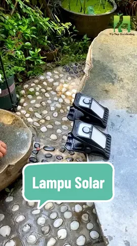 Lampu Sensor Suria, melekat dinding yang boleh terdedah kepada matahari ! Solar Sensor Wall Light !  #tiptopgardening #berkebun #landskap #taman #lamp #landscape #decor #garden 